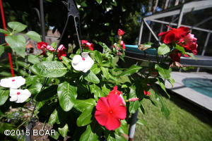 Treasure Palms - Residential