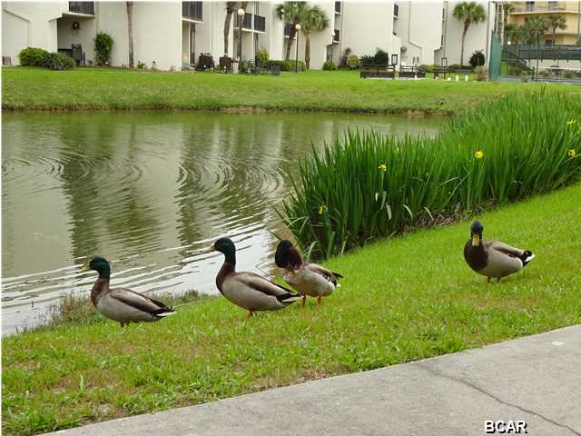 Sugar Beach Condo - Residential