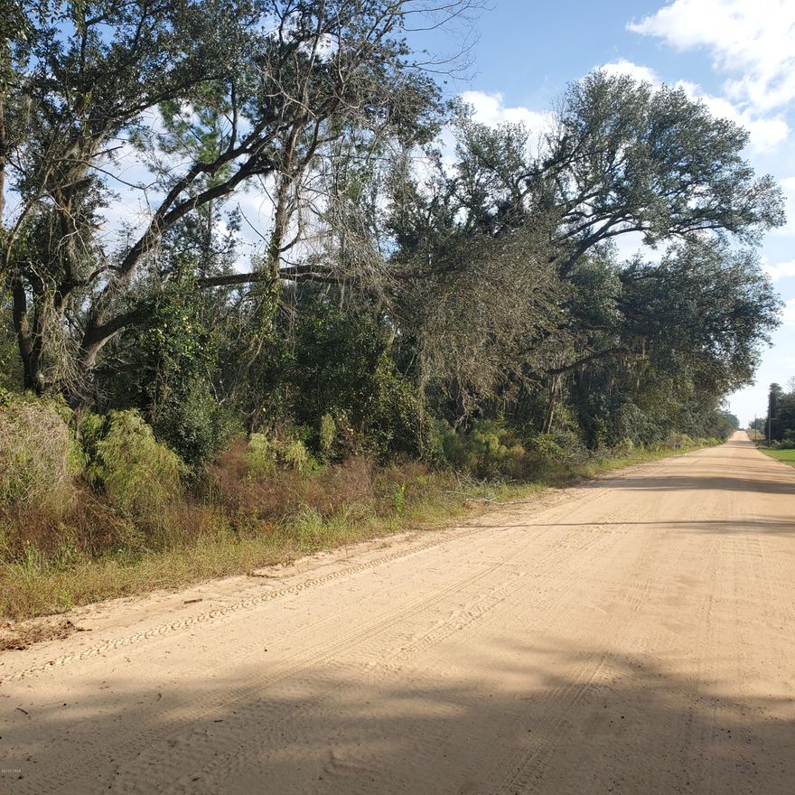 20 Acres of privacy!  Surrounded by agricultural land and no restrictions!  The front acreage is low with Cypress and Oak trees and can hold water - this can provide a buffer from the road and more privacy or it can be cleared and used.  Back part is clear and timber was cut 5 years ago.  This would be great for home and pasture!   

This land has a lot of potential!