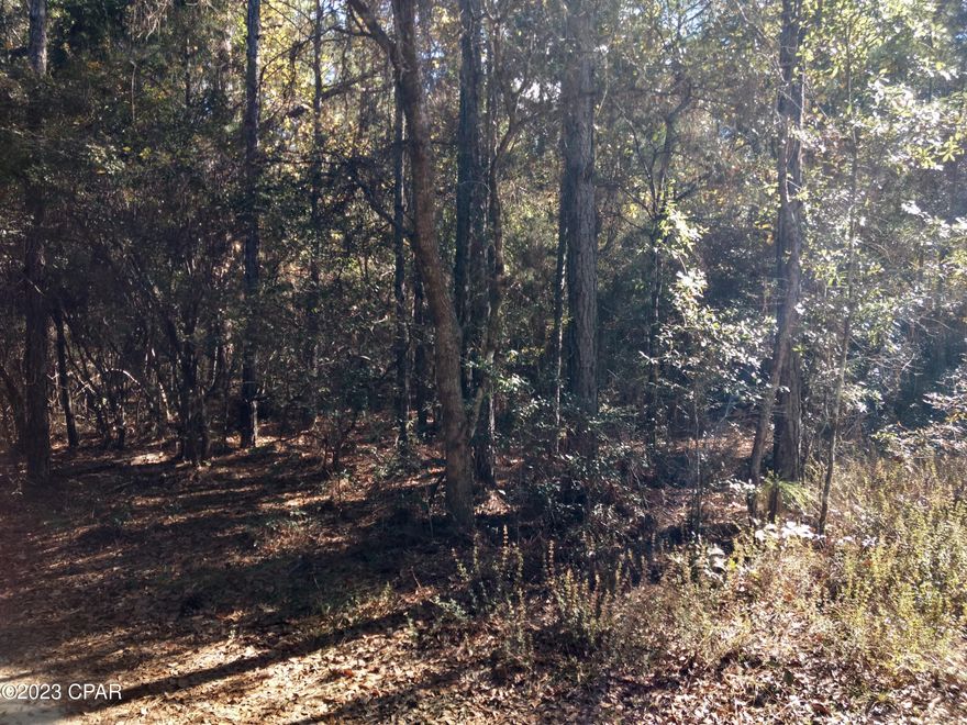 Large building site fronting on the 15th fairway. Has about 105 feet of road frontage on Little John Lane. Lot is wooded with some large shade trees. Beautiful 18-hole Golf course, and a lake nearby for fishing. Located about 6 miles from Bonifay.
