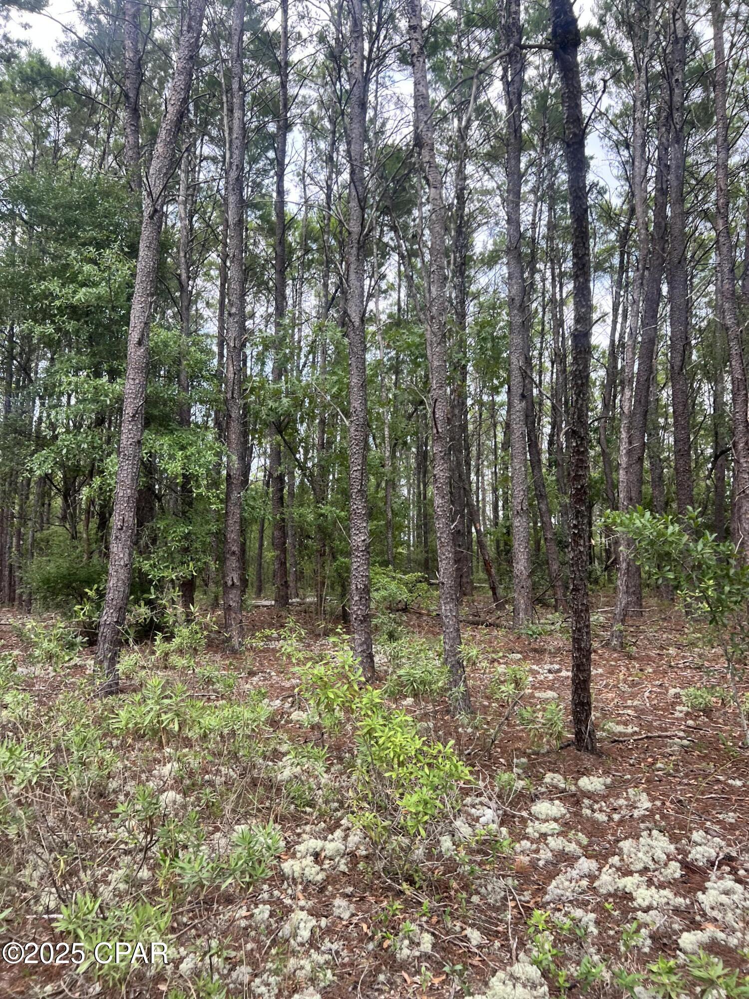 [No Recorded Subdiv] - Land