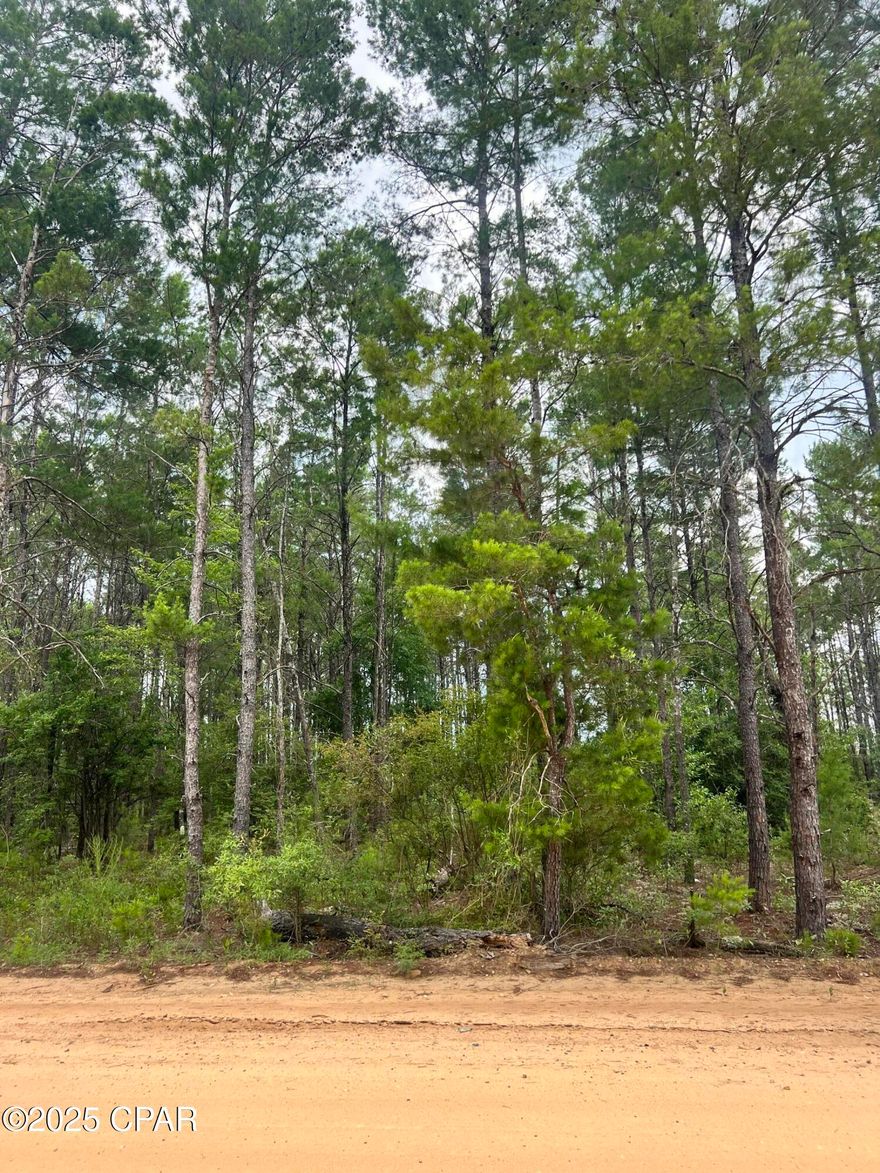 Located in the quiet Crystal Lake area of Washington County, this 2.2-acre wooded lot offers a peaceful, private setting for your future homesite or weekend retreat.  Enjoy the natural surroundings with no HOA and no timeline to build. Convenient to Crystal Lake and just a short drive to the Lynn Haven and Panama City areas.  

***Currently no survey available.  Measurements are approximate; buyers are encouraged to verify if important.***

Vacant.  Go Show!