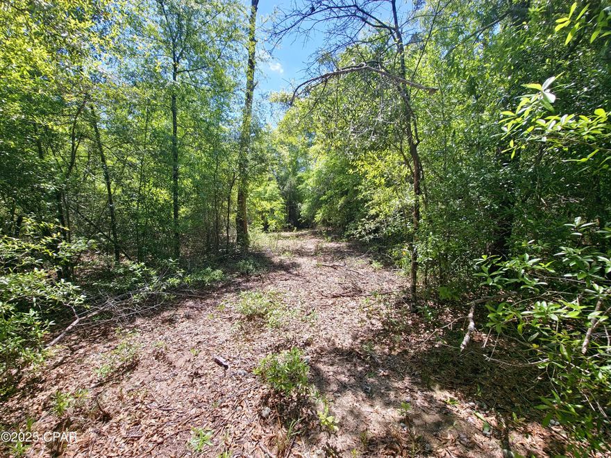 Premium 1.14-acre lot on Gardenia Drive in Compass Lake in the Hills. Partially cleared with trails along the boundary, beautiful mature trees, and a peaceful, natural setting. Buildable with power nearby. Ideal for a custom home or weekend retreat in one of the area's most desirable locations.