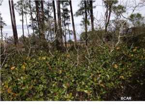 Preserve On The Bay Ph IIIa - Land