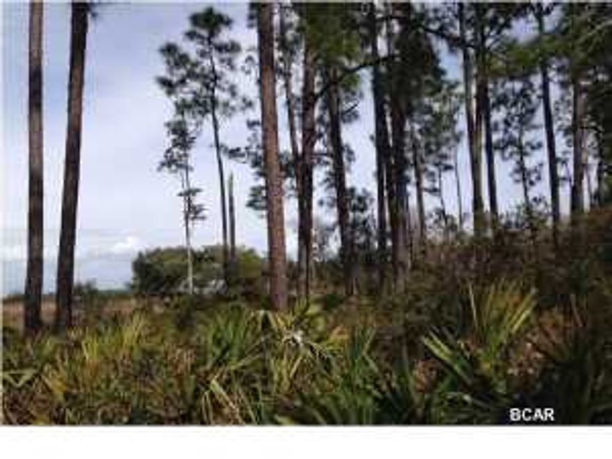 REDUCED! Motivated seller. Come enjoy old Florida charm in the pristine Preserve by the Bay neighborhood where nature is left ''as is'' to enjoy. This sanctuary of a neighborhood is tucked away from the hustle and bustle of busyness! Preserve by the Bay is gated and reflects throughout pride of ownership. Some of the very nicest homes in Panama City Beach are located right here and this vacant lot gives you the opportunity to be among them. The lot is larger than most in the Preserve and has spectacular Bay views. The owner has an architectural plan for a spectacular 5-bedroom home which would include over 7600 square foot. Plans available, not included in sales price. Owner also states portions of the lot have elevation of 14 ft., making it one of the highest lots in the