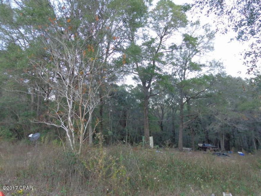 Wooded property located on Hwy 231 close to Compass Lake & Round Lake for fishing, boating & swimming.  Property includes old homestead and alot of clean up.  Well & Septic on property that seller does not warrant.