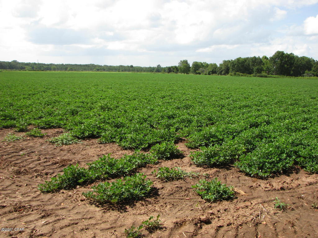 [No Recorded Subdiv] - Land