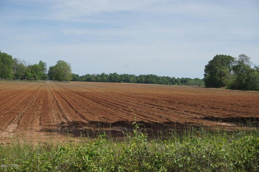 Beautiful farmland in Northern Jackson County. This property has a rich red clay soil that is great for all crops. There is about 25 acres on the South East corner that was clear cut and has grown back up. This property would make an excellent hunting tract or investment tract.



This listing DOES NOT INCLUDE the Home and surrounding 5 Acres.