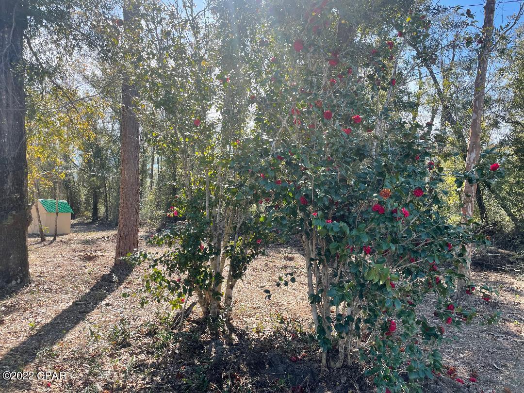 [No Recorded Subdiv] - Land