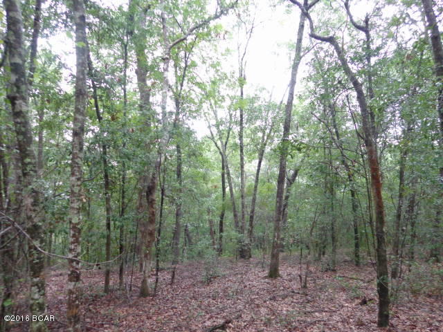 Leisure Lakes - Land