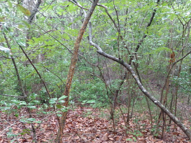 Leisure Lakes - Land