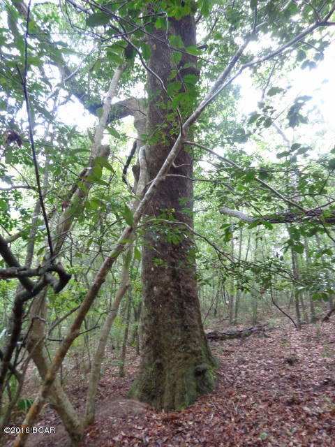 Leisure Lakes - Land