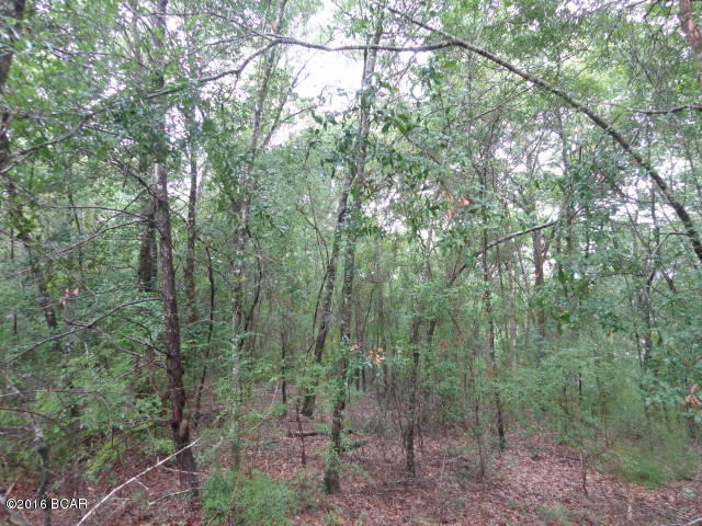 Leisure Lakes - Land