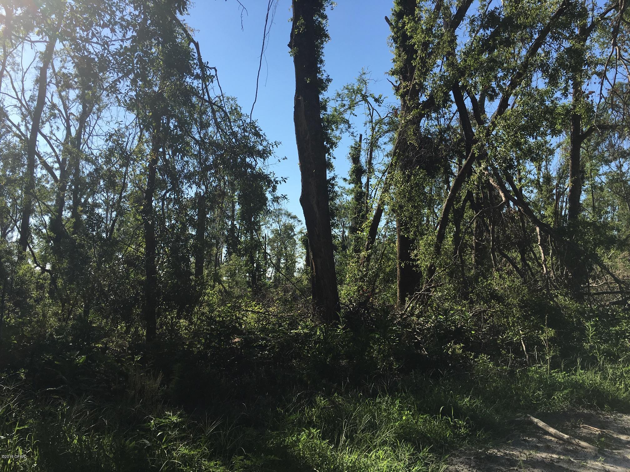 Whispering Pines Estates - Land