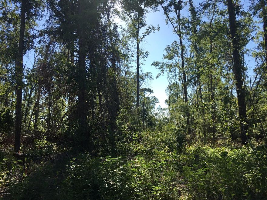 5 WOODED ACRES MAINLY BIG OAK TREES, SOME STORM DAMAGE BUT COULD BE CLEANED UP TO MAKE A GREAT HOMESITE. MOBILE HOMES ARE WELCOME IN THIS PORTION OF WHISPERING PINES . QUIET COUNTRY LIVING AT IT'S BEST