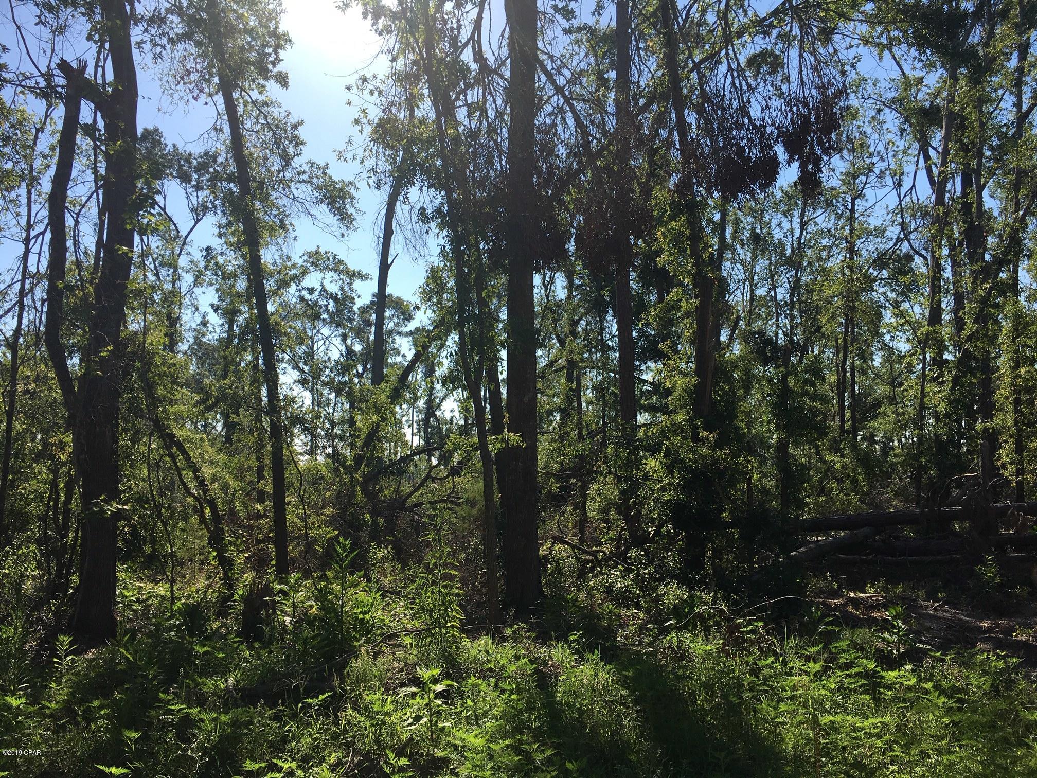 Whispering Pines Estates - Land