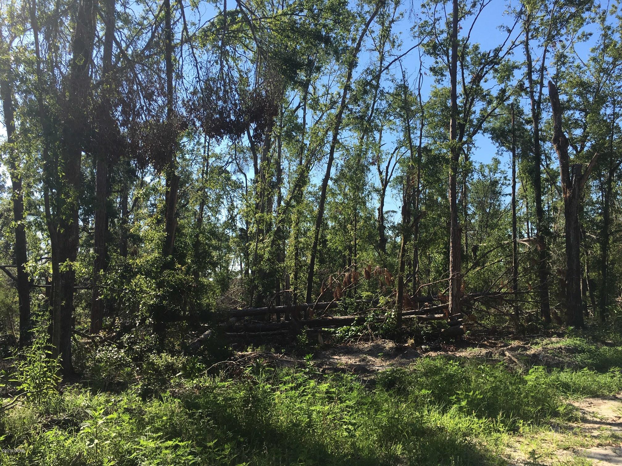 Whispering Pines Estates - Land