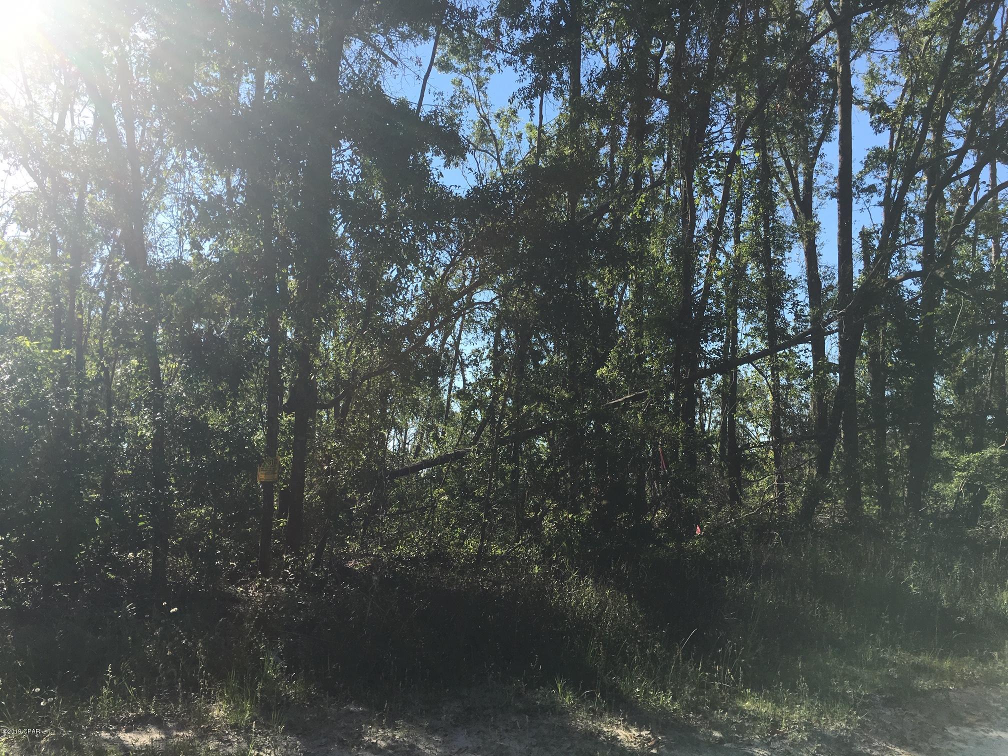 Whispering Pines Estates - Land