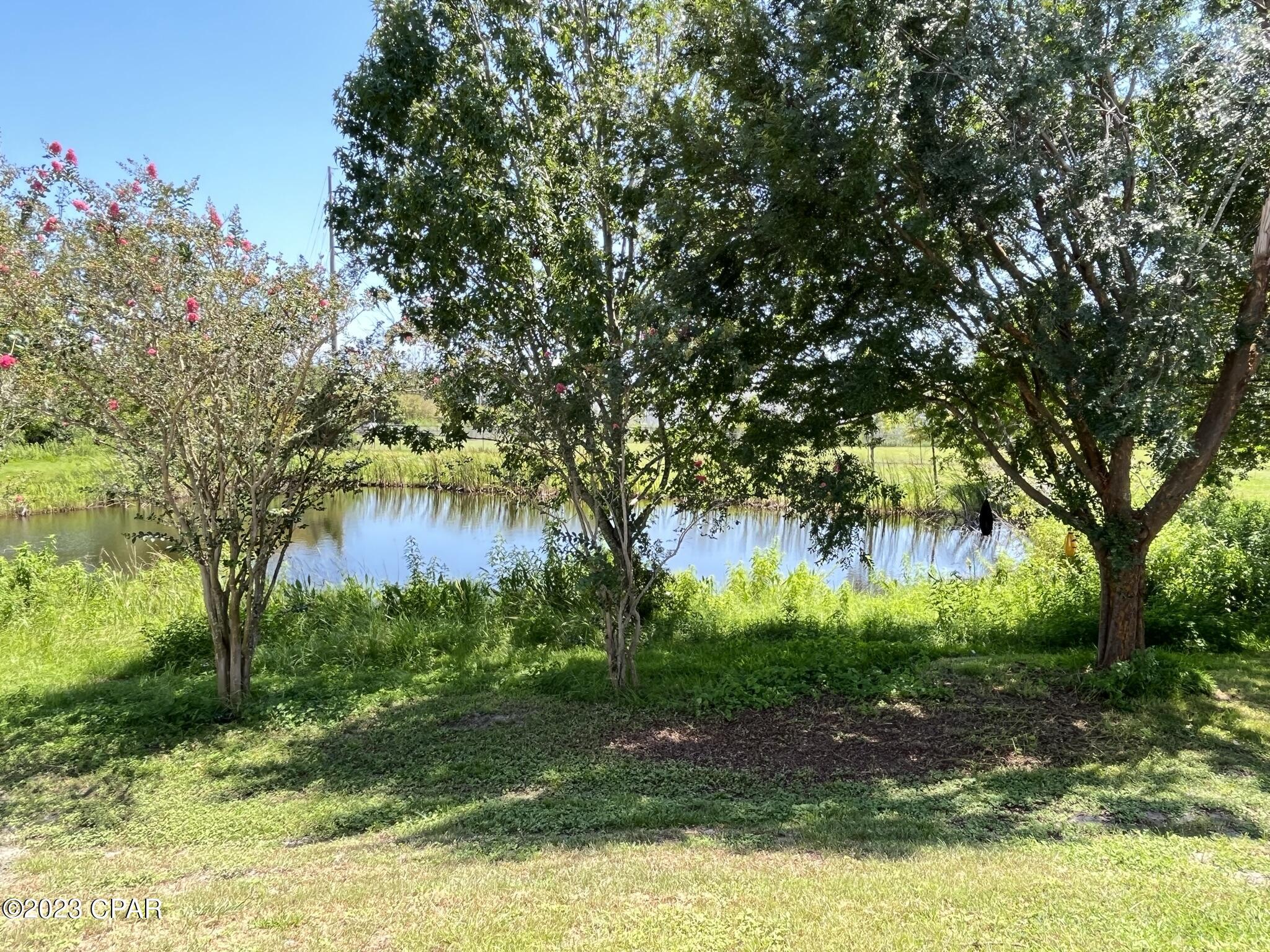 Palm Cove - Residential Lease