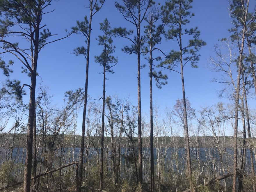 WATERVIEW!! Come and check out the amenities of this pristine location!! If you opt to join ($135 per year) this is what you can get for a reduced rate:

Driving Range, Rentals on fishing boats, pontoon boat, canoes, fun yaks and boat docking.  Cabin Rentals, Lake House Rental, Pavilion Rental, RV Lot Rentals and access to the beautiful private McCormick Lake! Compass Lake itself is  581 acres sitting in Compass Lake in the Hills which is a 10,000 acre property sitting between Panama City FL and  Dothan Alabama. It has a great lodge with a restaurant, Tiki Bar and a pool. Great place to get away from the hustle and bustle of every day life!