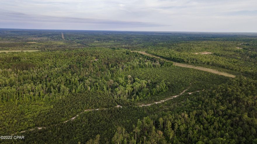 A hunter's dream with a bonus investment of planted pines!  Forty-five acres of beautiful rolling hills which are hard to find in Florida, with planted longleaf pines! Access on Wildrose Lane recently gated and fenced along the property line from Wildrose Lane.  Road system recently established on the property.   Great hunting for deer,  turkey and other game.  Plenty of area for a home or hunting cabin! More adjoining acreage available.