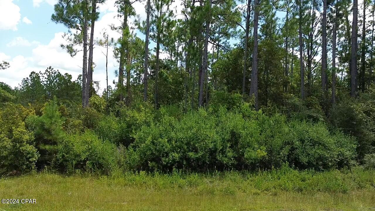 Sunny Hills Unit 12 - Land