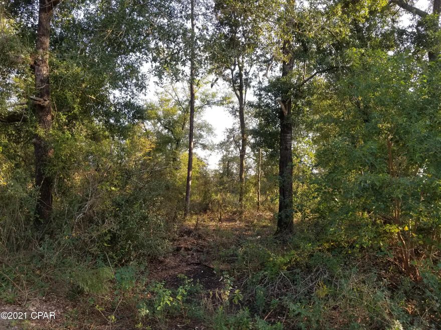 Nice building lot in Sunny Hills on the main boulevard.