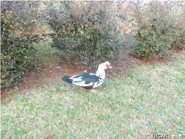 Caroline Add Unit 3 - Residential