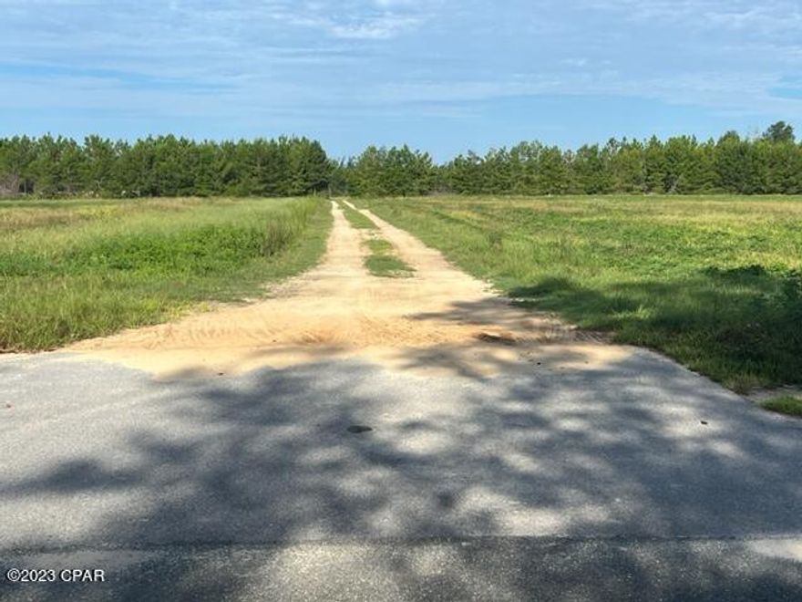 Nice property in the country close to Marianna. 5 acres cleared on paved Flat road. Pole barn included with fish pond. Pond needs shaping & well.
Very nice home site!