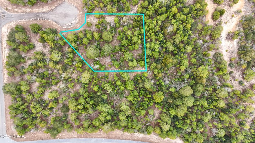 Build-ready vacant residential lot on Tassel Court in Chipley, Florida! Located on a quiet street, this parcel offers a great opportunity to build your custom or modular home in a peaceful setting while still close to town amenities. No existing structures — start fresh and design exactly what you want. 
*Buyer to verify zoning, utilities, setbacks, and building requirements with Washington County.