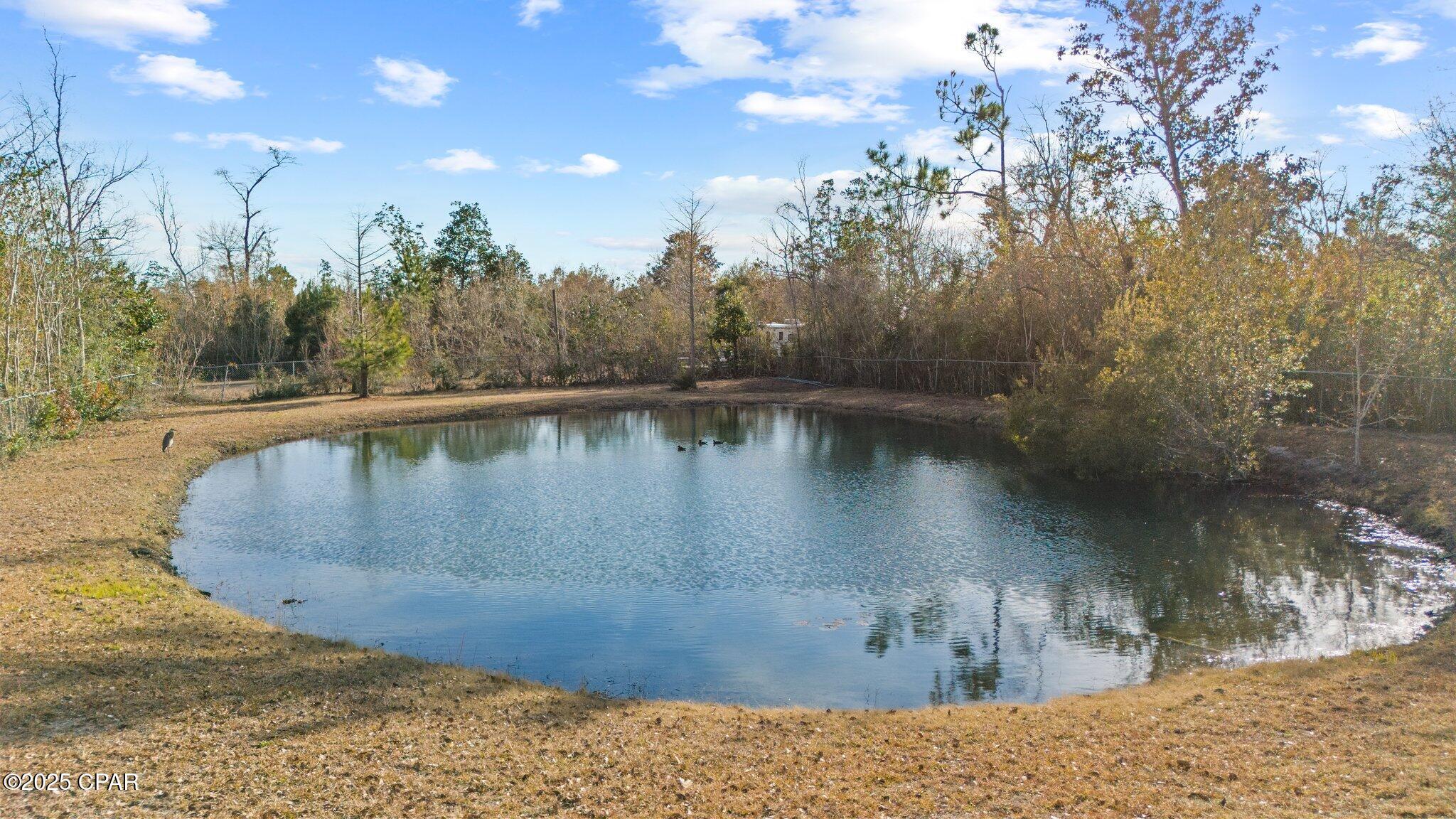 Blueberry Hill - Residential
