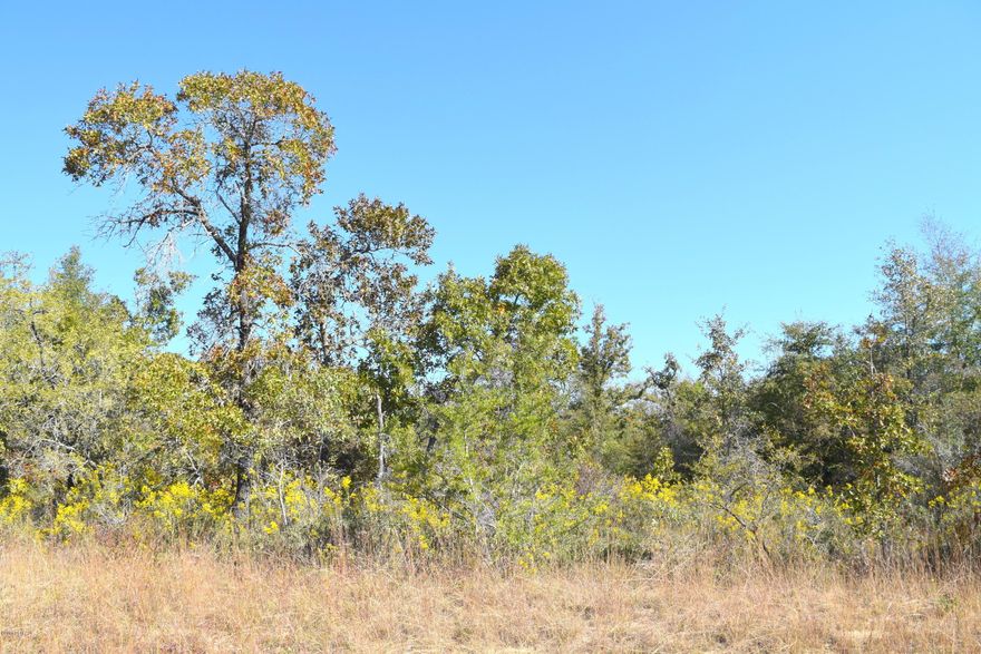 Nice building lot in Sunny Hills. Lot is mostly wooded. Sunny Hills is a deed restricted subdivision for homes only, no mobile homes. Not far from golf course, Boat Lake and fishing.  Approx 30 miles from Panama City Beach, Pier Park shopping and NW Florida Beaches International Airport. Seller also owns 7 other lots in Sunny Hills and will sell all 8 for $20,000.