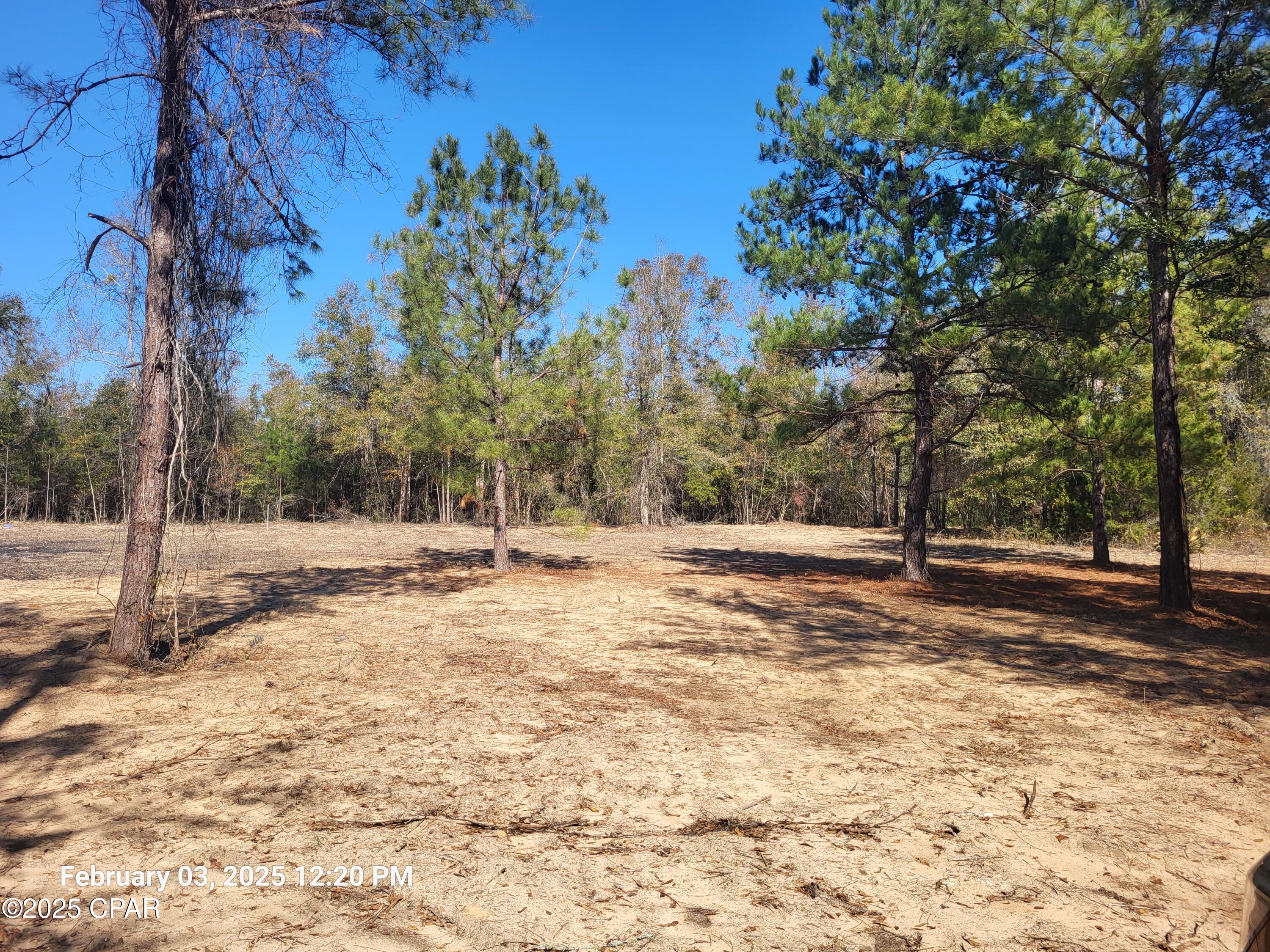 White Pond Plantation - Land