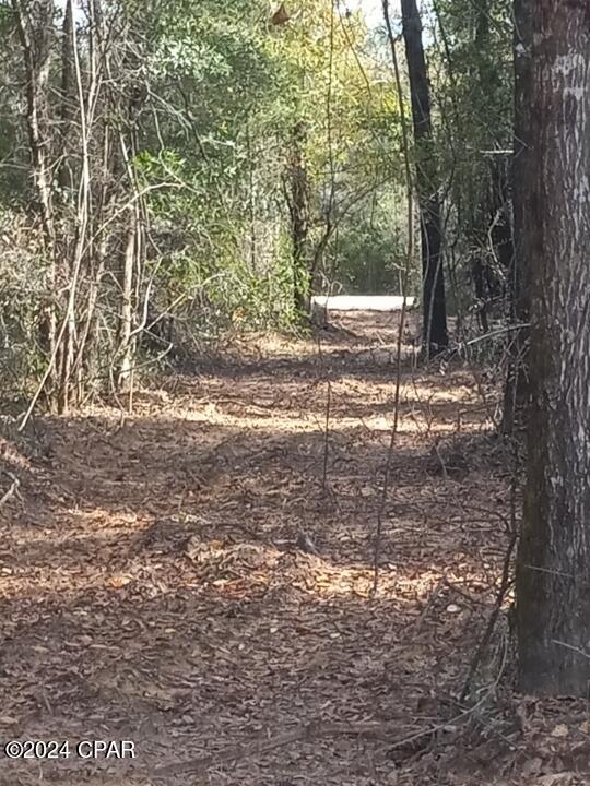 White Pond Plantation - Land
