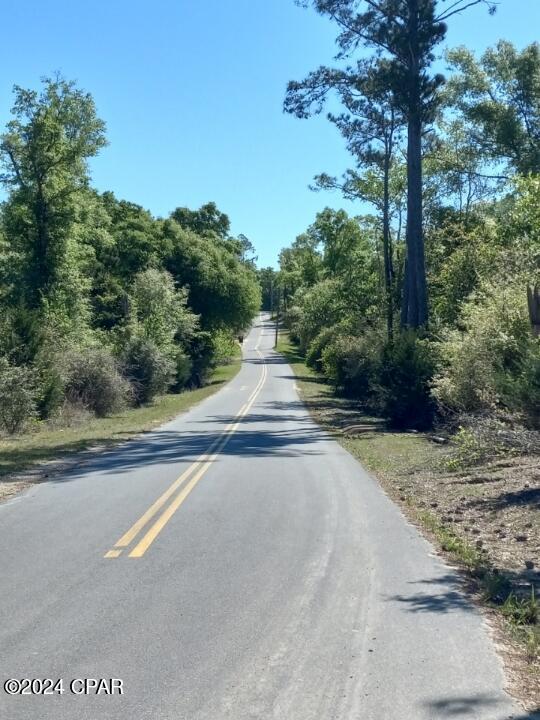 White Pond Plantation - Land
