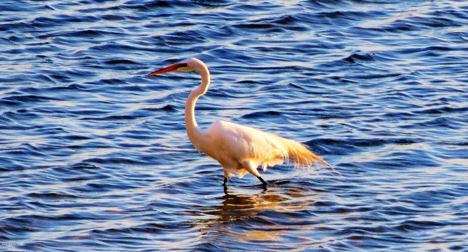 Cove Condominium - Residential