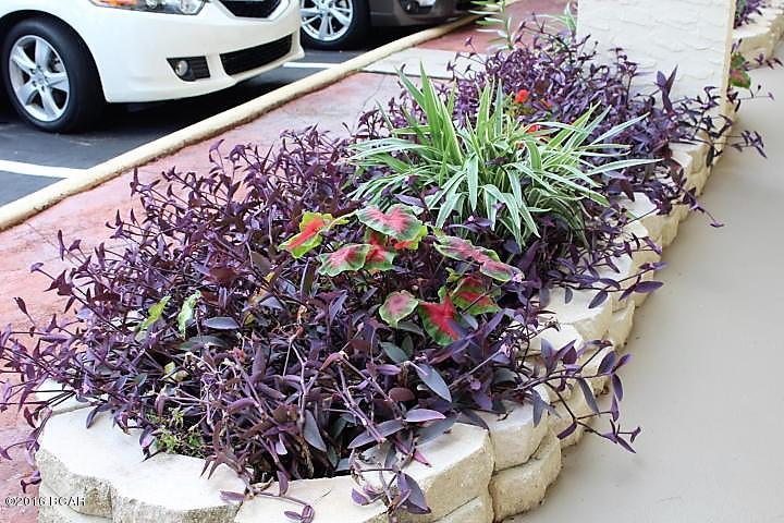 Cove Condominium - Residential