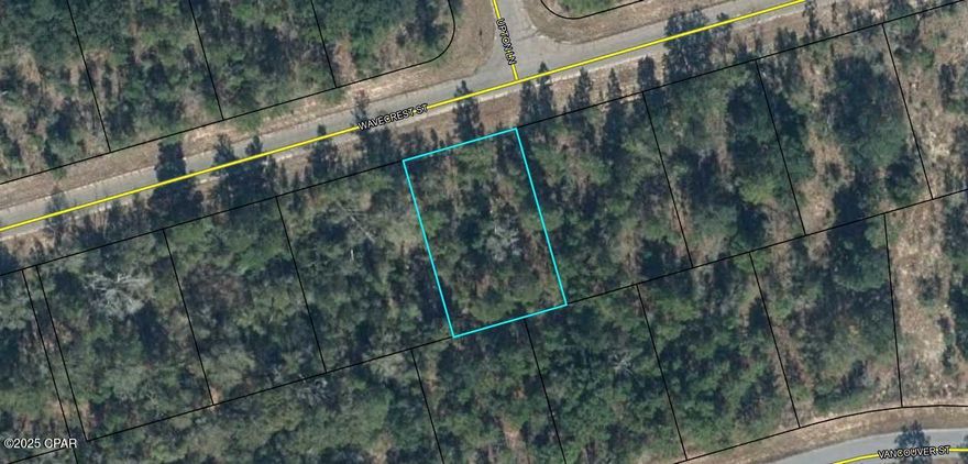 Seize the opportunity to own this untouched 0.229-acre lot in the peaceful and picturesque community of Sunny Hills. This undeveloped land is a blank slate, perfect for those looking to tailor their dream home from the ground up in a serene setting.

Nestled on a paved road, this lot offers natural surroundings and ample privacy, providing an ideal backdrop for your future home. Sunny Hills residents enjoy a host of amenities, including access to the renowned Sunny Hills Golf Club, multiple fishing lakes, and extensive recreational parks.

This vibrant community is perfect for both year-round living and seasonal getaways, with all utilities available at the street to facilitate your building needs. Embrace the chance to design and build a custom home in an area known for its natural beauty and friendly neighborhood atmosphere.

Additionally, an adjacent lot is currently listed for sale, offering the unique possibility to expand your space or plan for a multi-lot estate. Don't miss out on this opportunity to create your own oasis in Sunny Hills, where peace and possibility meet!