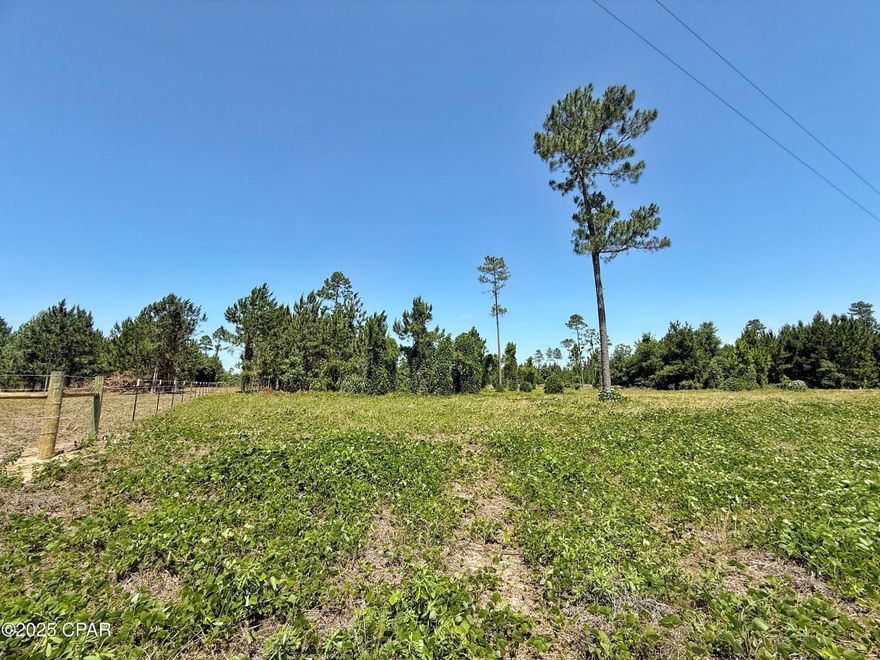 10-Acre Haven Near Marianna, FL - Your Dream Awaits!

Discover the perfect blend of freedom and tranquility on this expansive 10-acre parcel, just minutes from Marianna, Florida! Situated in The Reserve at Blue Springs, this mostly cleared property offers endless possibilities. Whether you envision building your dream home, a stylish barndominium, or creating a private retreat, this unrestricted land is your canvas.

With convenient access just off paved Reddoch Road, you'll enjoy the ease of country living while remaining close to modern conveniences. Bring your animals, start a garden, or craft the homestead you've always wanted—no HOA restrictions to limit your vision!

Deed Restrictions:

Home must be no less than 1,200 square feet

No mobile homes allowed

Maximum of two outbuildings permitted

20-foot setbacks from each boundary line

Owners may be assessed for road maintenance

Seller has provided a previous survey.

Imagine waking up to the serene landscape of your very own slice of paradise. Don't miss this rare opportunity to embrace a lifestyle of independence and natural beauty.
