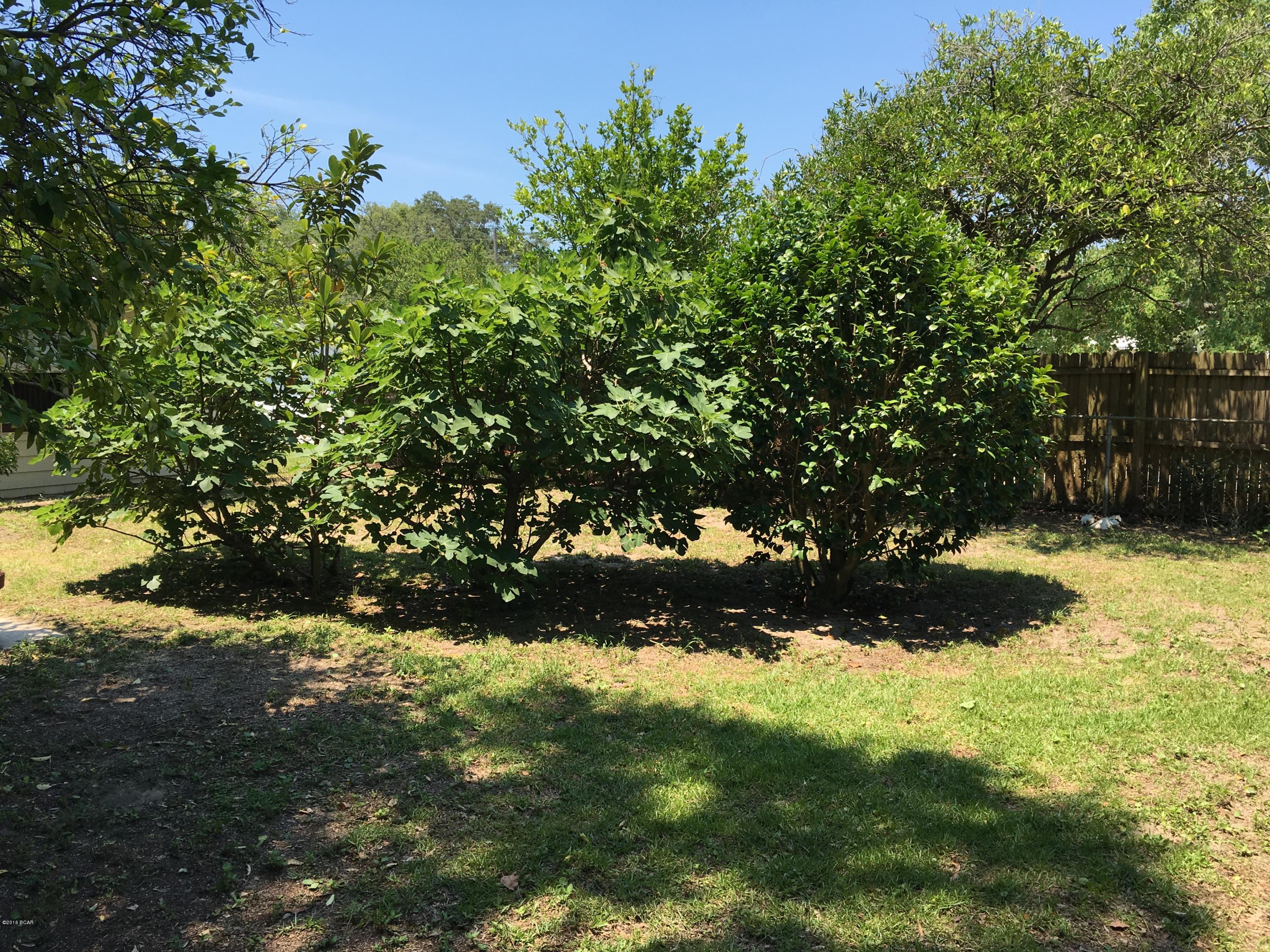 Oak Hill - Residential