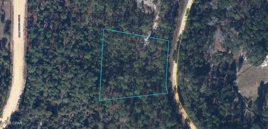 1.08+/- acre building lot VERY NEAR MCCORMICK LAKE. Nestled in the peaceful countryside, this spacious property offers plenty of room to build your dream home, create a private retreat, or invest in a slice of Old Florida charm. With over an acre of land, you'll enjoy the freedom to design your ideal layout — whether that includes a custom home, workshop, garden, or outdoor entertaining space — all surrounded by the quiet beauty of North Florida.

Lake McCormick itself spans approximately 350 acres, making it one of the area's most desirable freshwater lakes. Known for its clear waters and unspoiled shoreline, the lake maintains its tranquil atmosphere by allowing electric motors only, preserving the peaceful setting and protecting its natural ecosystem. It's an ideal spot for fishing, kayaking, paddleboarding, swimming, and quiet sunset cruises.

Ownership of this lot grants you access to the McCormick Lake Recreation Area, located at 1030 View Drive, where you'll enjoy outstanding amenities including:

A swimming area with dock

Large and small pavilions available for rent

A clubhouse perfect for weddings, reunions, and special events

Funyak and water toy rentals

Fishing boat rentals

Whether you're seeking a full-time residence, a weekend getaway, or a long-term investment, this property offers the rare opportunity to enjoy spacious country living with convenient access to one of North Florida's most beautiful and carefully preserved lakes.

If you've been looking for peaceful acreage near a clean, electric-motor-only lake with community amenities — this is your opportunity to own a piece of paradise near Lake McCormick.