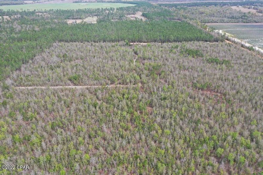 40 acres with plenty of road frontage. Located only 2 and a half miles from Blue Springs (Jackson Blue), a first magnitude spring producing around 64 Millions gallons of fresh spring water a day. This parcel has it all. A great place to build your dream home, great hunting, plant trees, grow a garden, grow agriculture or just unwind. Located just off the Blue Springs HWY, not far from town and schools but far enough away to unwind and enjoy!! Broker interest, call today for your appointment!!