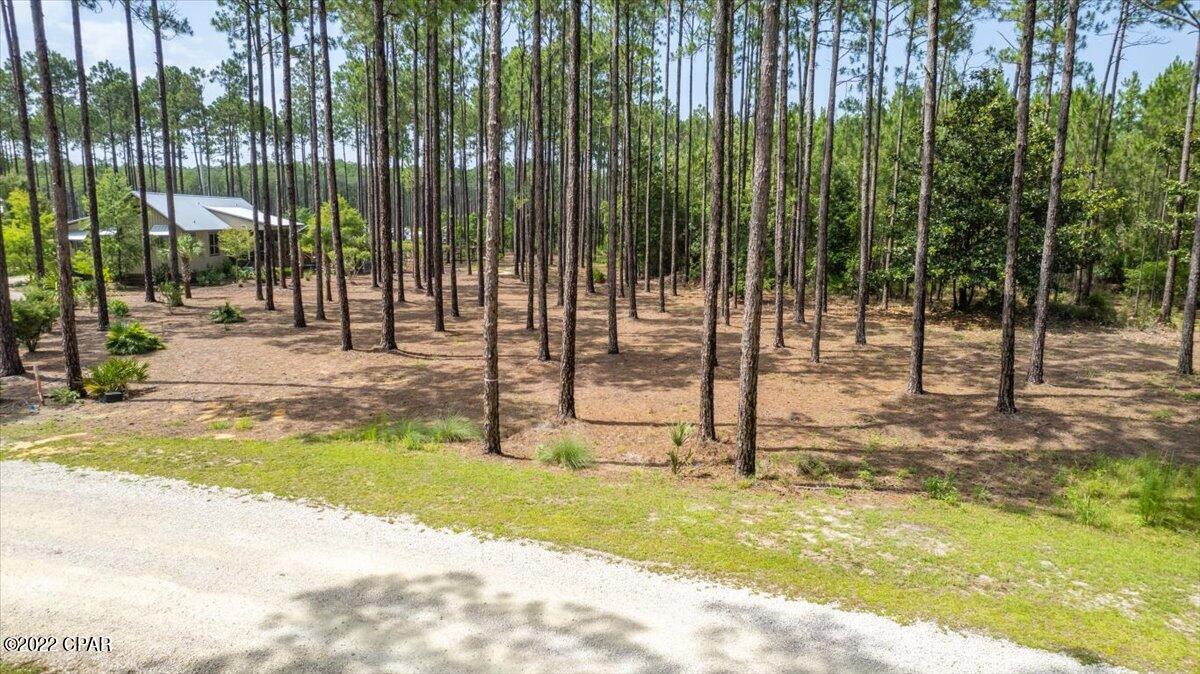 Rivercamps On Crooked Creek - Land