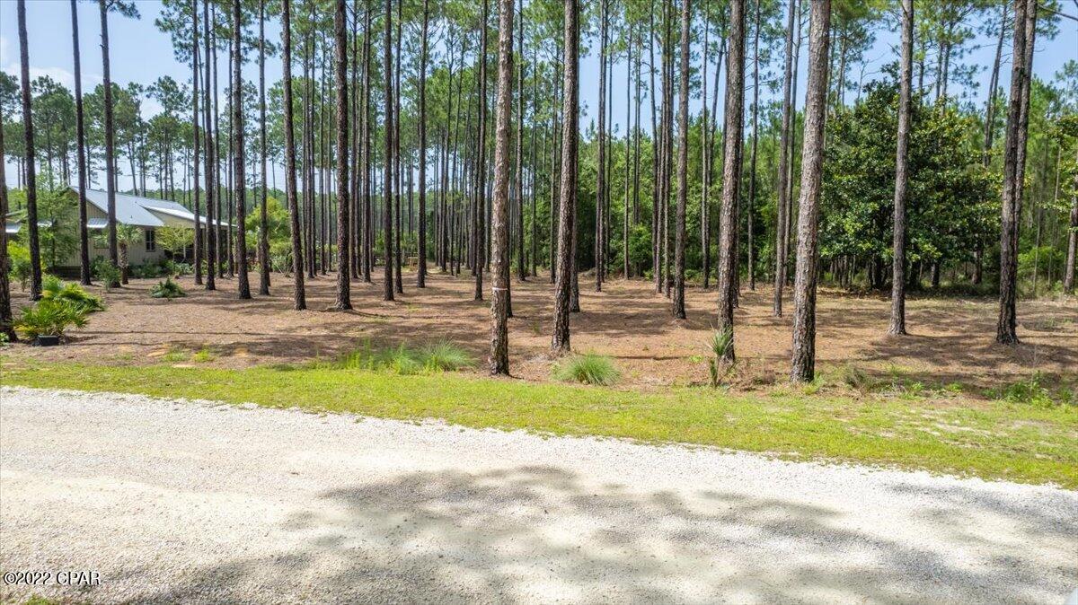 Rivercamps On Crooked Creek - Land