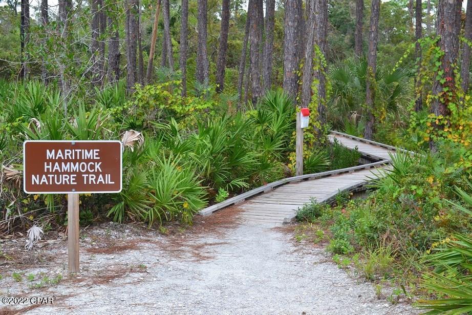 Cape San Blas - Land