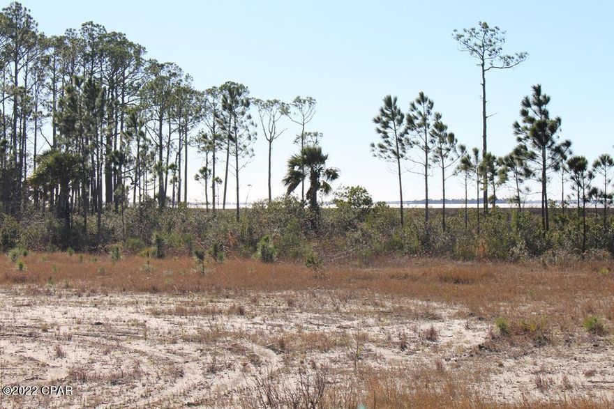 his lot is located on the edge of St. Joseph Bay, which is known for it' amazing fishing and bay scalloping. This subdivision offers underground utilities already in place so you can start to build your next home immediately. The City of Port St. Joe is only five minutes away and offers great restaurants,shopping, small-town charm. The white sand beaches of Cape San Blas are also only a few miles away. Bayou Storage Presnell's Marina, Golf Course is right up the street as well as the famous Indian Pass Raw bar. Seller has survey. Tap fees are due.