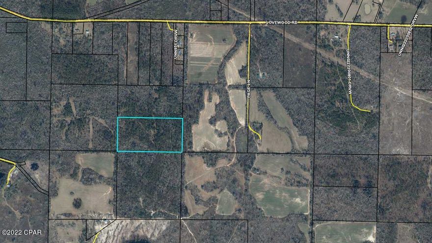 20 buildable acres available in North Marianna, high and dry with a mixture of pine and hardwood. This property is not storm damaged and would make for a beautiful home site with a little cutting! Property is accessed by a 20 ft legal recorded easement.