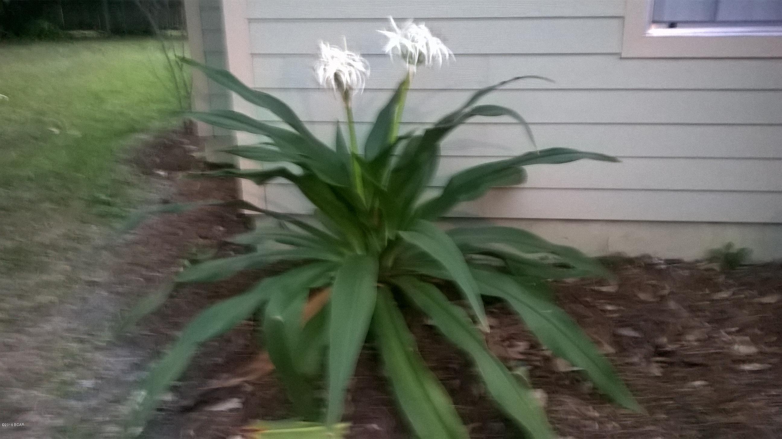 Prows Lynn Haven Replat - Residential