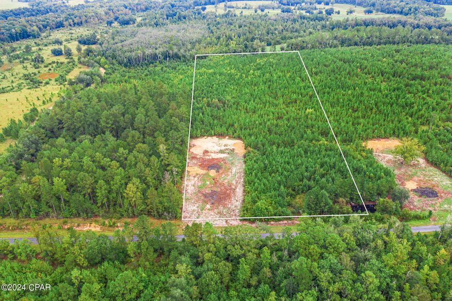 Unleash your imagination on this breathtaking 9.92+/- acre property, offering endless possibilities! A recently cleared section provides the perfect canvas to build your dream home, create a tranquil retreat, or establish a weekend escape. Nestled off a paved road, this prime location offers both convenience and serenity.