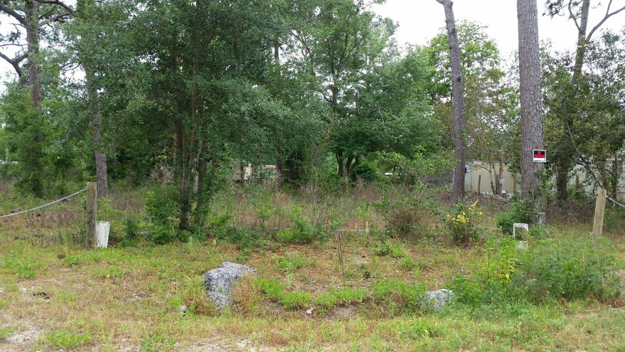 CURRENTLY UNDER CONTRACT, SELLER ACCEPTING BACKUP OFFERS.  Building lot in the Gulf Pines area of Panama City Beach. There was a mobile home on the property at one time, but sellers moved it and due to changing zoning laws, no new mobile homes can be brought in.  This is a 75 x 118' lot.  Get your house plans and your contractor and come build a new home!  All info is approx. and must be verified by Buyers if important.